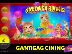 game-kucing-terbaru.png